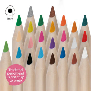 Art Colored Pencil Oil-Based-24 Color- Tookyland
