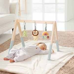 Wooden Baby Gym - Tooky Toy