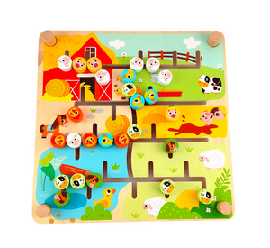 Alphabet / Farm Magnetic Maze - Tooky Toy