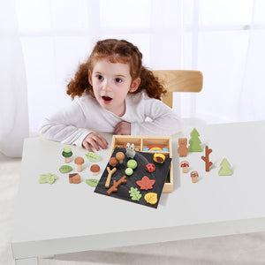 My Little Forest - Wooden Sorting Play Box - Tooky Toy